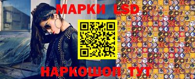 стаф Бузулук