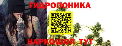 стаф Бузулук