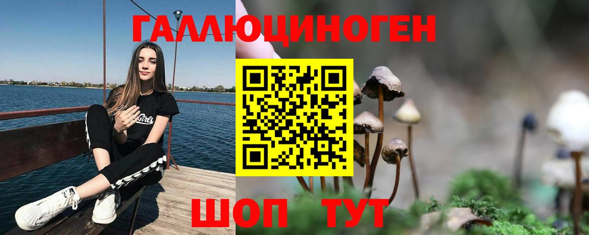 Псилоцибиновые грибы Cubensis  Псилоцибиновые грибы Psilocybine cubensis  Вход с VPN  Новокубанск 